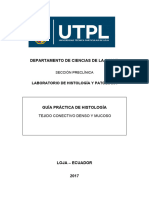 Guía N°5 Tejido Conectivo Denso y Mucoso