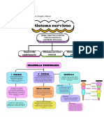 Sistemas Nervioso - Parcial Anatomía..