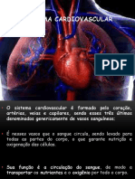 Aula Sistema Circulatório 230711 103929