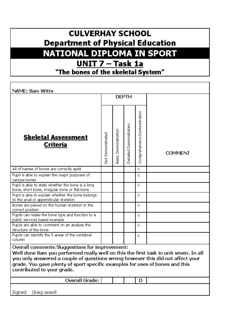 Skeletal System Assessment Report | PDF | Science & Mathematics