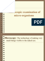 Examination of Microoranisms Using Microscope
