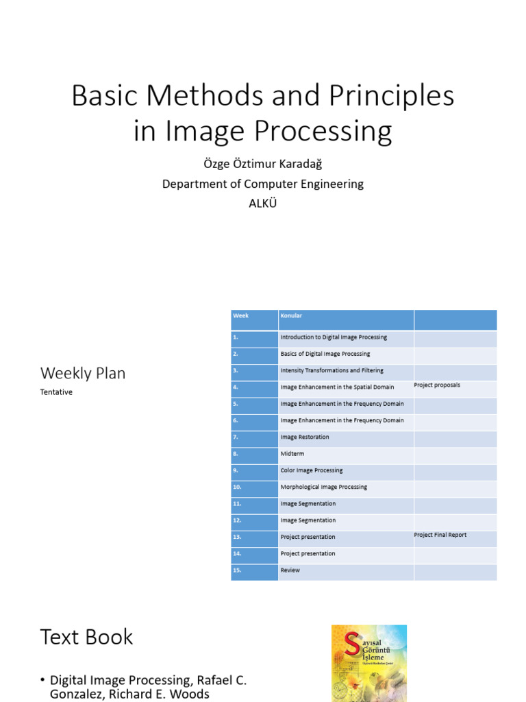 Image Processing | PDF | Visual Perception | Computer Vision