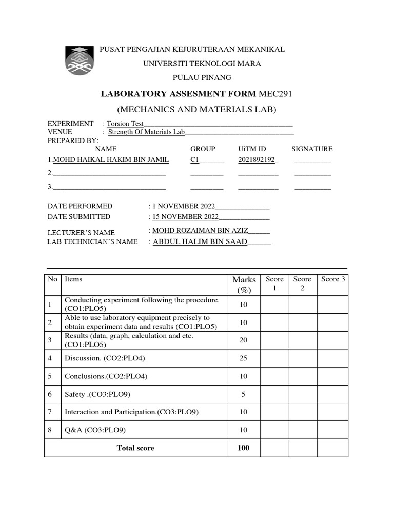 Torsion Lab Report PDF
