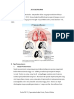 LAPORAN PENDAHULUAN Pneumotoraks