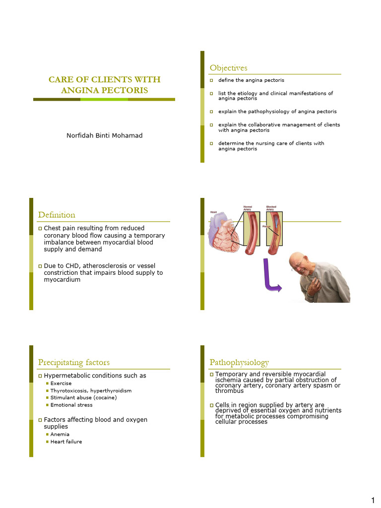 Angina Pectoris Care Guide | PDF | Cardiology | Circulatory System