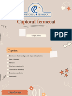 Proiect Cuptorul Fermecat