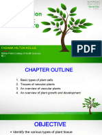 Chapter3 Planttissues 170922155708