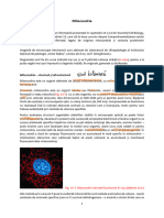Mitocondria-Notite de Curs