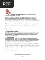 Download Apendisitis Akut by May Maghdalena SN69423227 doc pdf