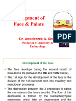 Lecture 4, Face and Palate