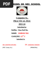 PDF Document