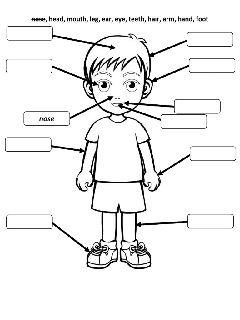 body-and-face-parts-picture-description-exercises-writing-creative-wri