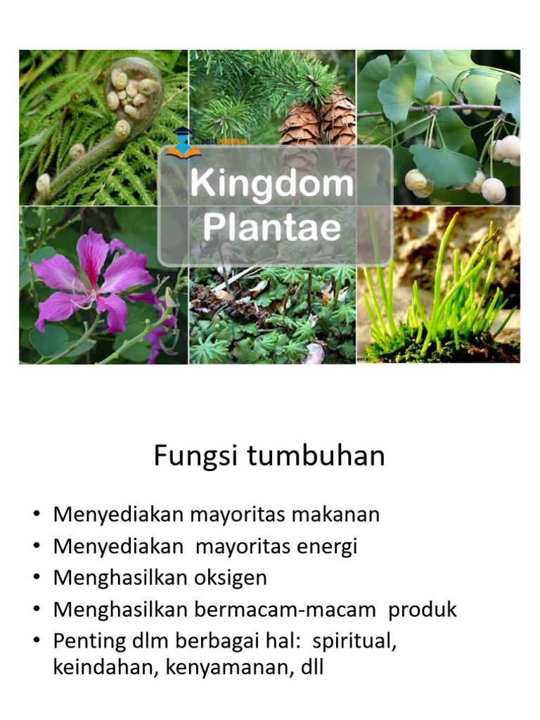 Ciri dan Fungsi Kingdom Plantae | PDF | Griya & Taman | Kesehatan Holistik