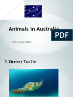 Animals in Australia