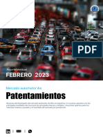 02 - Febrero - Patentamiento