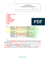 A.2.1 - Sistema Digestivo Humano - Ficha de Trabalho (1) - Soluções