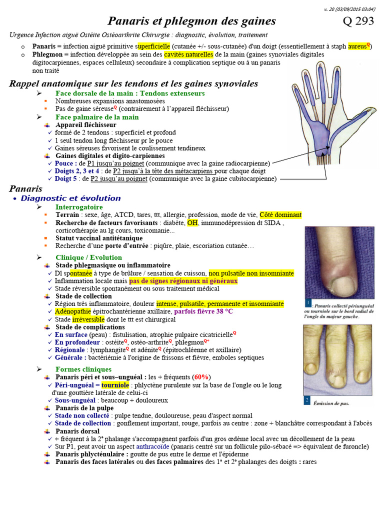 Q 293 Panaris Phlegmon | PDF