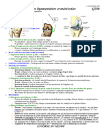 Q 280 Lesions Ligamentaires Et Meniscales Du Genou