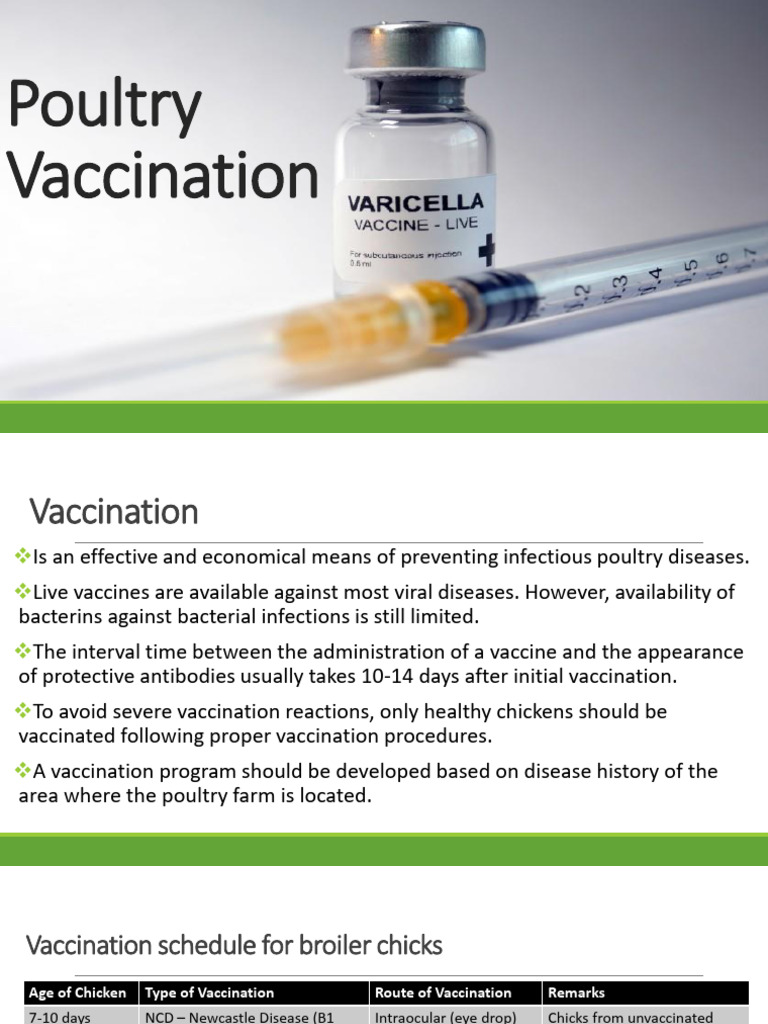 2.3 Poultry Vaccination PDF Vaccines Chemistry