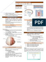 Lecture Lesson 7. Cerebrospinal Fluid