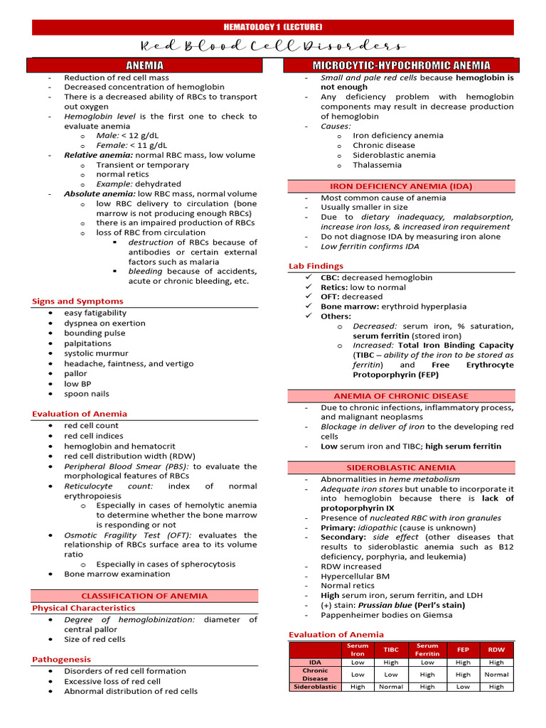 Understanding Anemia: Types and Evaluation | PDF | Red Blood Cell ...