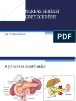 Acut Pancreatitis Pancreasrak