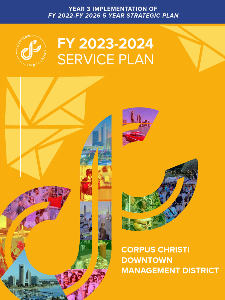 DMD FY 2024 Service Plan PDF Strategic Planning Lighting