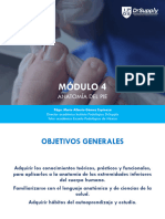 Modulo 4. Anatomía Del Pie