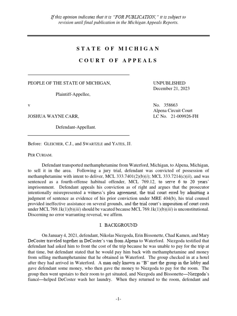 Alpena County Criminal Opinion PDF