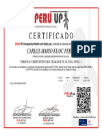Certificado - Carlos Kuoc