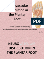 28 Neurovasculature Conference For Students