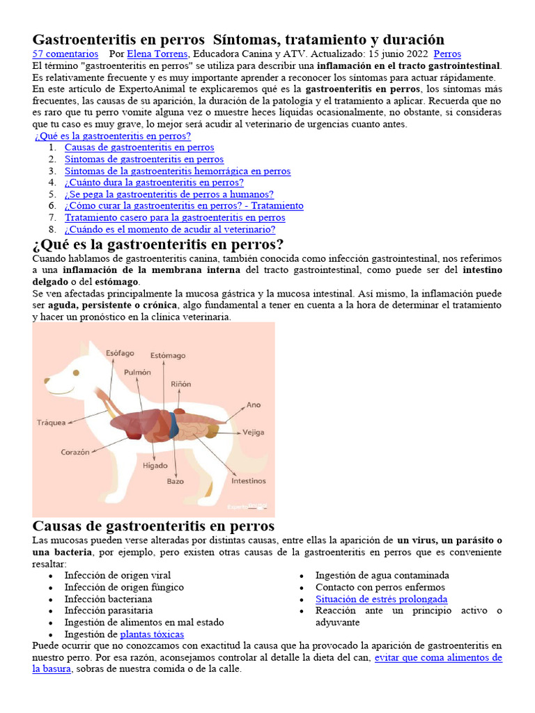 Gastroenteritis en Perros: Síntomas y Tratamiento | PDF | Diarrea ...