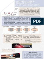 Infografía de Salud Proceso Minimalista Azul