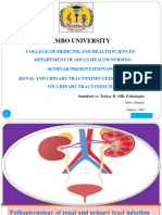 Patho Phsiology of UTI-2