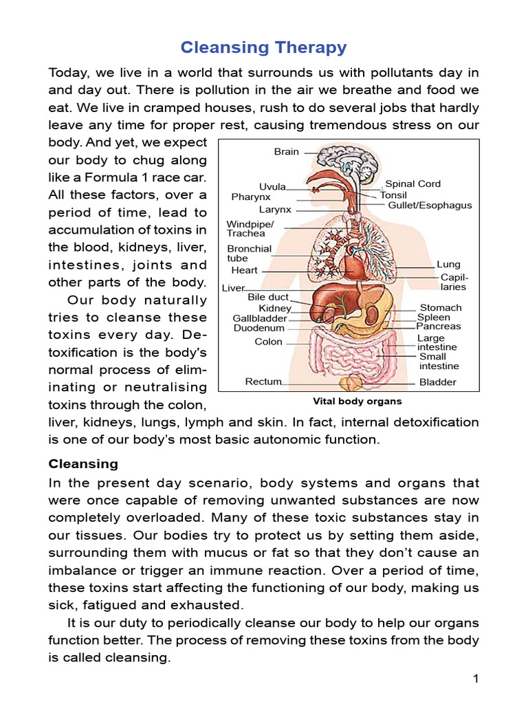 Essential Cleansing Therapy Guide | PDF | Human Body | Pollution