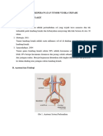 Asuhan Keperawatan Tumor Vesika Urinari