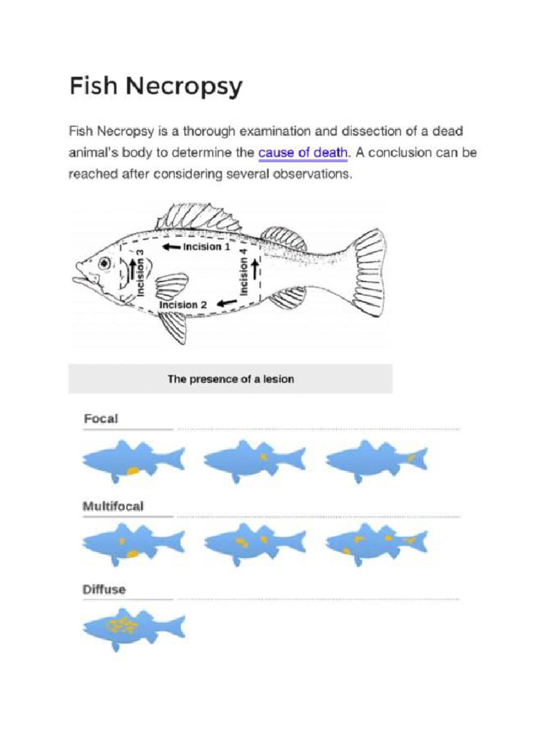 Chem181 Eutrophication-Notes | PDF