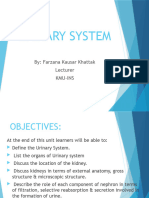 Urinary System-1
