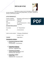 Curriculum Vitae: Perfil