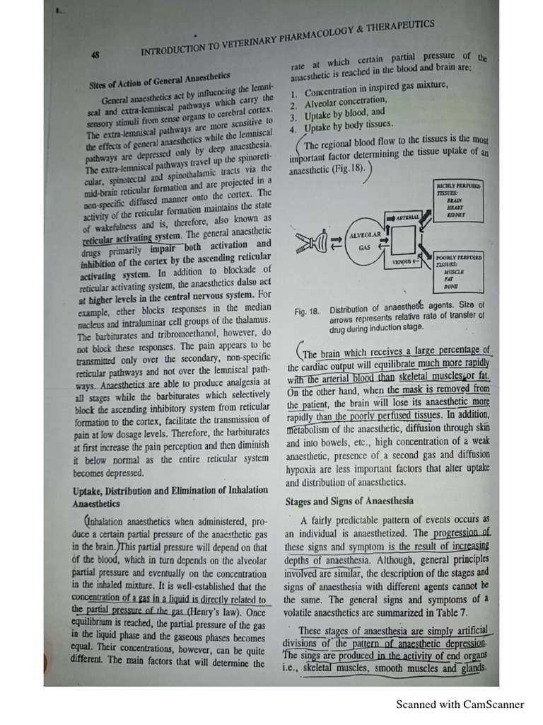 General Anaesthetic Drugs PDF