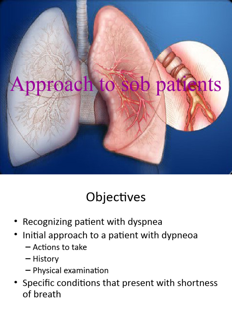 Approach To SOB | Download Free PDF | Asthma | Lung