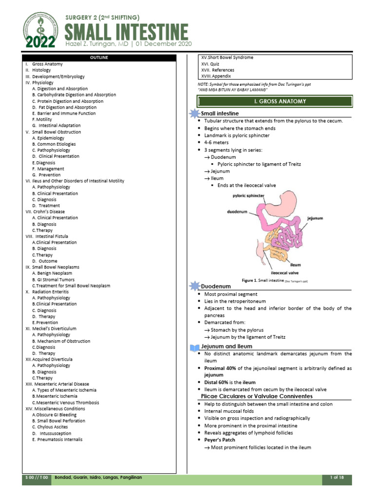 (SURG2) S02 T05 Small Intestine | PDF | Crohn's Disease | Digestion