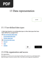 13 Data Representation