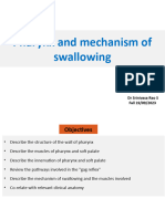 Lecture Pharynx