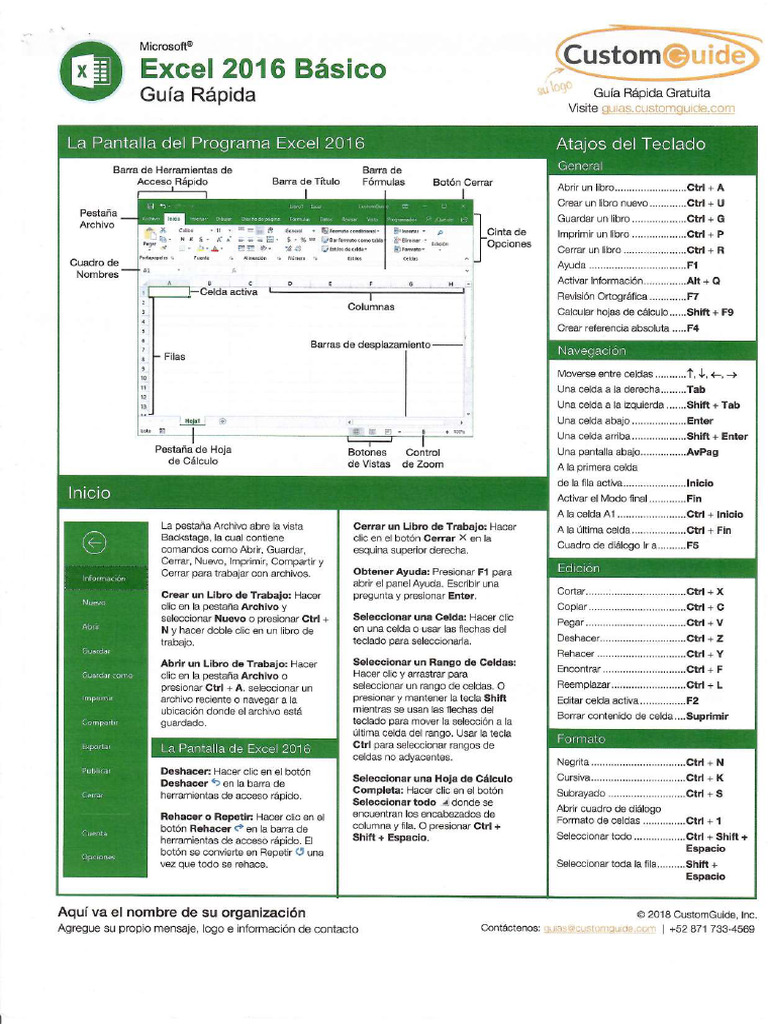 DESCARGAR MANUAL EXCEL 2016 PDF GRATIS visual data 7