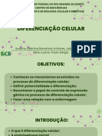 Diferenciação Celular - 20231221 - 164831 - 0000