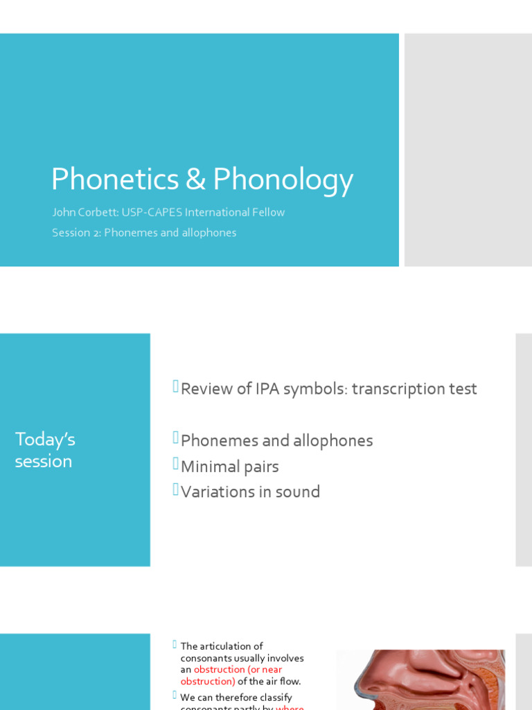 03 Phonemes And Allophones Pdf Phoneme Consonant