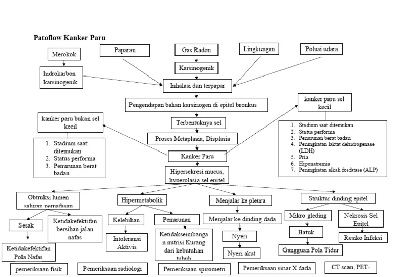 Patoflow Kanker Paru | PDF