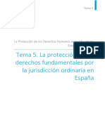 Tema 5. La Protección de Los Derechos Fundamentales Por La Jurisdicción Ordinaria en España