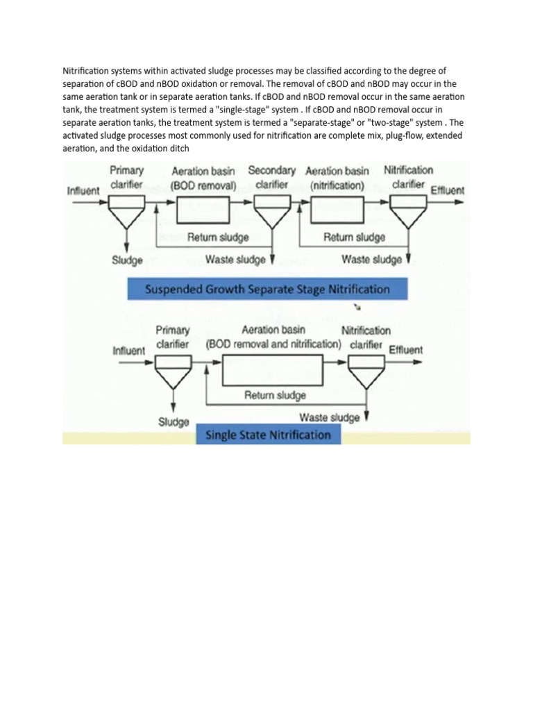 How Does Cbod Removal Work? _ How are your CBOD’s – XPUFKQ